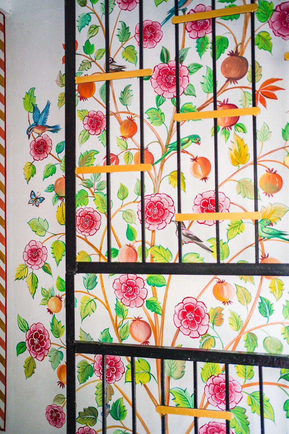 Lassi Guest House Udaipur Ngoại thất bức ảnh